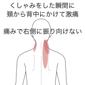 背中 の 痛み 右側 肩 甲骨 の 下